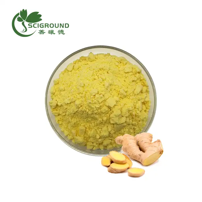 Ginger Extract Powder